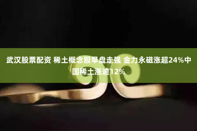武汉股票配资 稀土概念股早盘走强 金力永磁涨超24%中国稀土涨逾12%