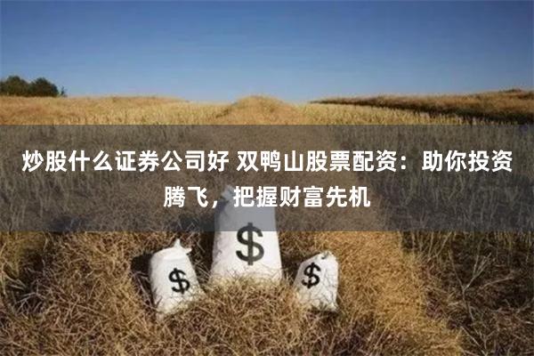 炒股什么证券公司好 双鸭山股票配资：助你投资腾飞，把握财富先机