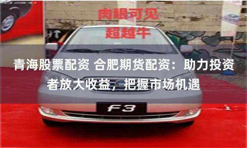 青海股票配资 合肥期货配资：助力投资者放大收益，把握市场机遇