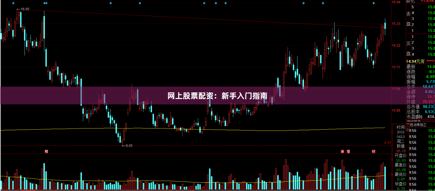 网上股票配资：新手入门指南