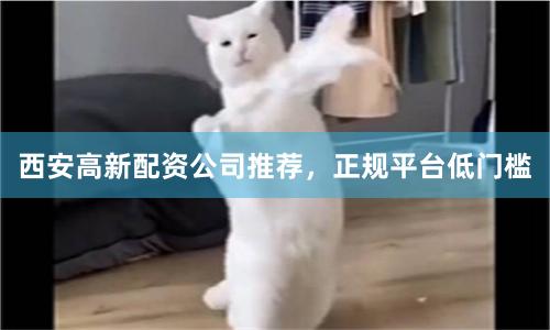 西安高新配资公司推荐，正规平台低门槛